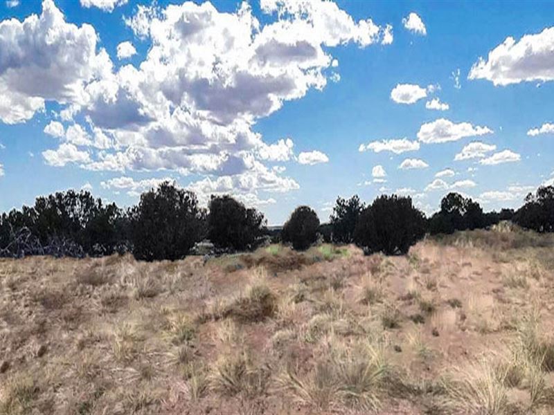 Red Sky Ranch, Back to Nature : Saint John : Apache County : Arizona