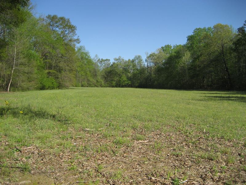 TN Farm with Creek, Pond, Hunting, Farm for Sale in Tennessee, #318373 ...