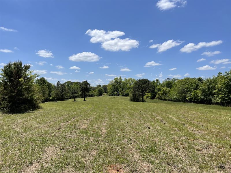 Highway 189 Tract North, Farm for Sale in Alabama, #318691 : FARMFLIP