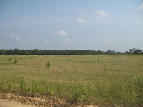 300 Acre Farm, Farm for Sale in Alabama, #3190 : FARMFLIP