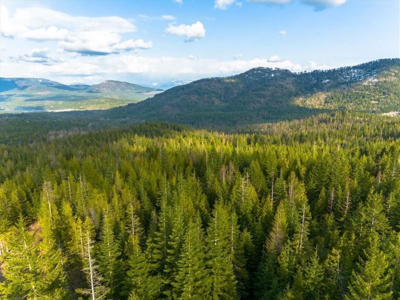 Fish Creek Beauty : Cocolalla : Bonner County : Idaho