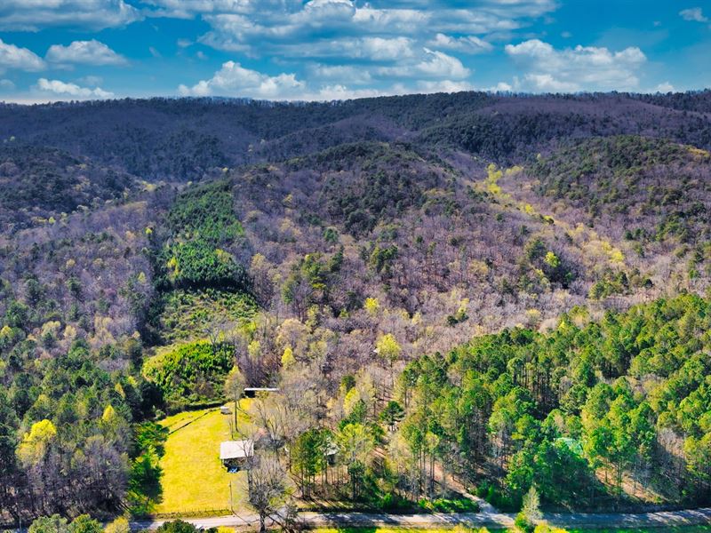 Borders National Forest, with Power : Armuchee : Floyd County : Georgia