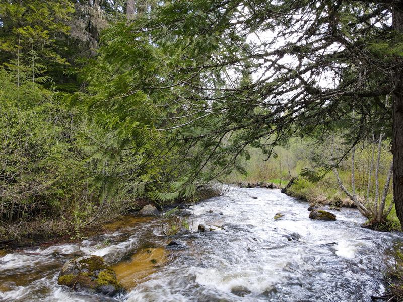 Keystone's Tacoma Creek : Cusick : Pend Oreille County : Washington