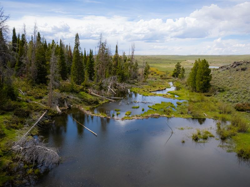 Dripping Arrow Ranch, Farm for Sale in Wyoming, #323711 : FARMFLIP