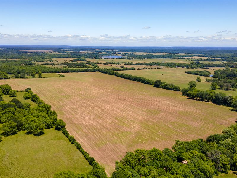 200+ Pecan Trees and Hay Pastures : Coleman : Atoka County : Oklahoma