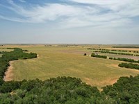 80.5 Ac, Burlington Farm : Burlington : Bell County : Texas