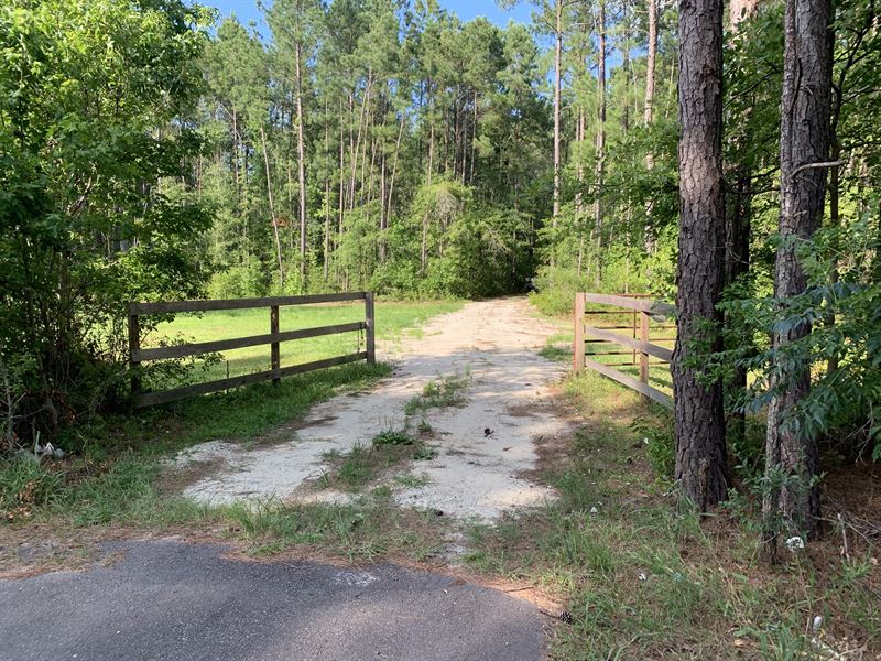 Old Gilliard Road Home Site : Ridgeville : Berkeley County : South Carolina