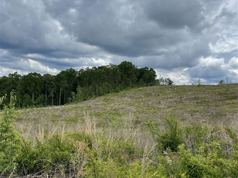 Silver Shoals Farm : Toccoa : Stephens County : Georgia