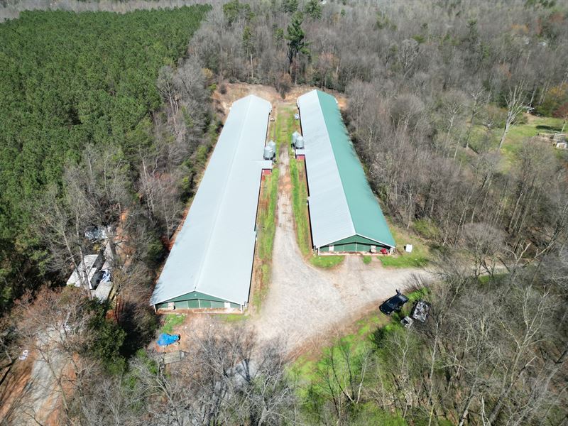 Nice 4 House Broiler Poultry Farm : Cleveland : White County : Georgia