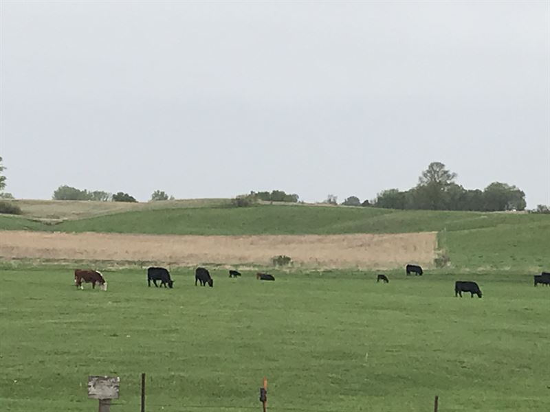 Cattle Farm, Pasture and Cropland, Farm for Sale in Iowa, #326142 ...