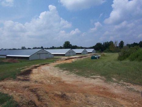 Poultry Farm, Farm for Sale in Alabama, #3264 : FARMFLIP