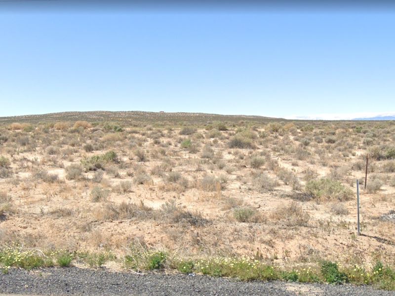 Huge Agricultural, Residential Land : Barstow : San Bernardino County : California