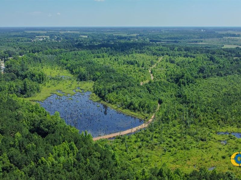 Rowland Tract : Lumberton : Robeson County : North Carolina