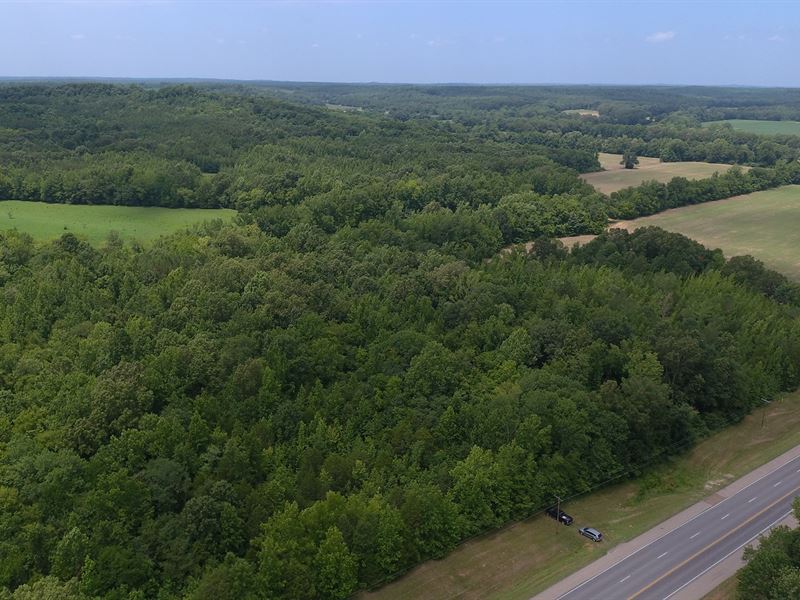 Rural Land for Sale with Pond : Adamsville : McNairy County : Tennessee