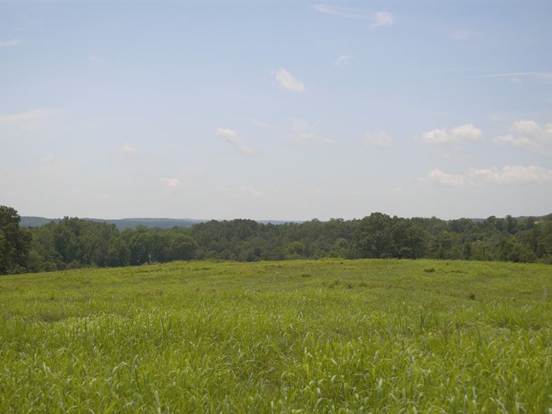 65+/- Acres Minutes From I-85 : Blacksburg : Cherokee County : South Carolina