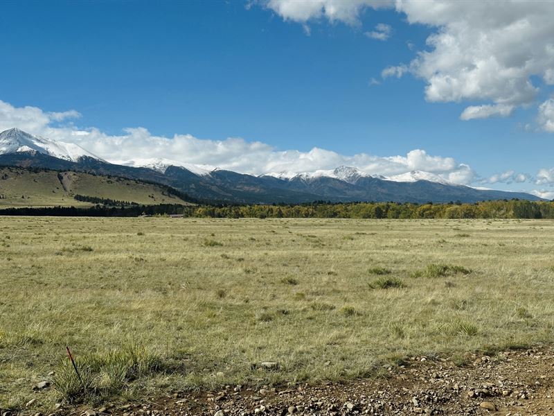 Junes Park : Westcliffe : Custer County : Colorado