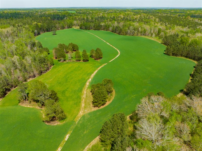 Glady Creek Farm : Covington : Morgan County : Georgia