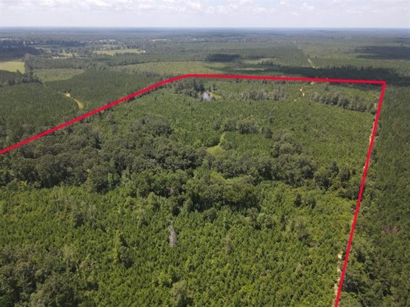 Land For Sale By Owner In St Helena Parish