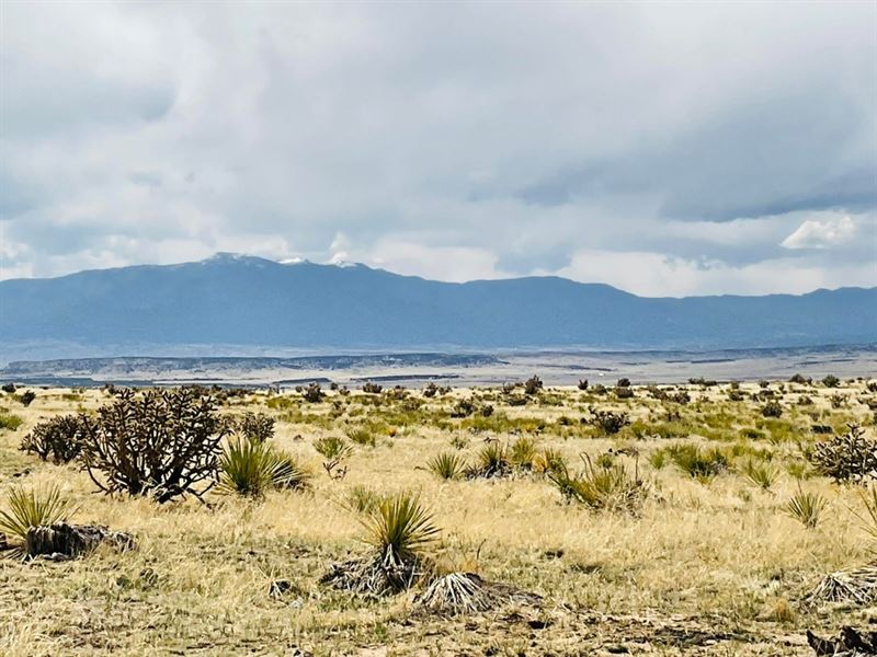 Lot 239 Turkey Ridge Ranch, Walsenb : Walsenburg : Huerfano County : Colorado