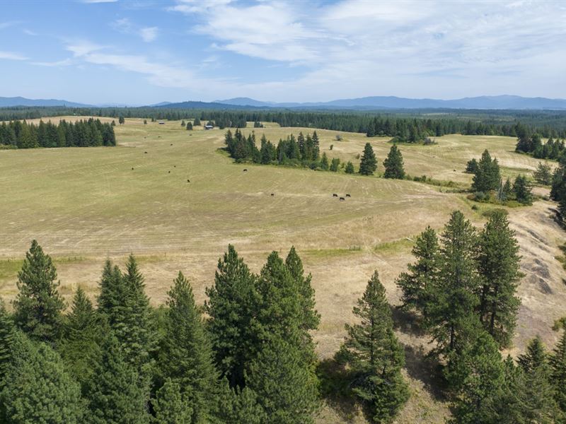 Rocking J Ranch, Parcel 14 : Weippe : Clearwater County : Idaho