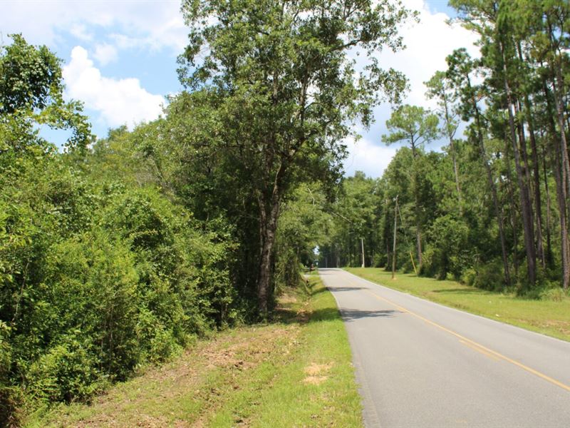 Fantastic 9.3 Ac in Harrison County : Saucier : Harrison County : Mississippi