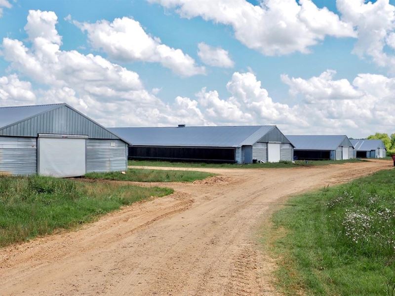 4 House Turnkey Poultry Broiler MS : Magee : Simpson County : Mississippi