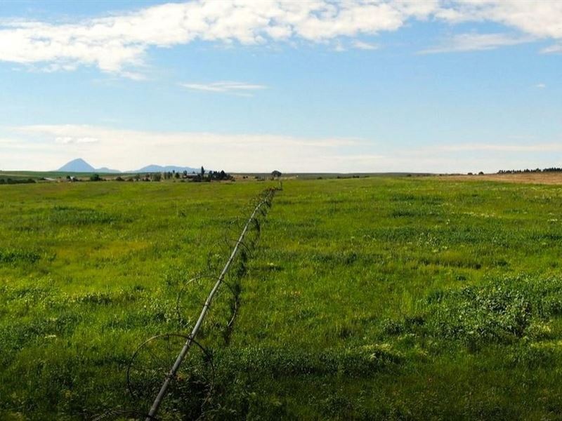 Lanier Farms : Pleasant View : Dolores County : Colorado