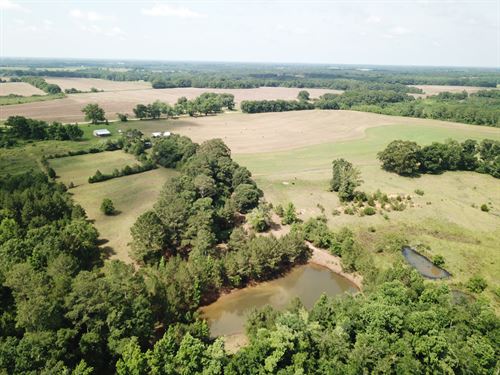 Alabama Cattle Farms For Sale Farmflip