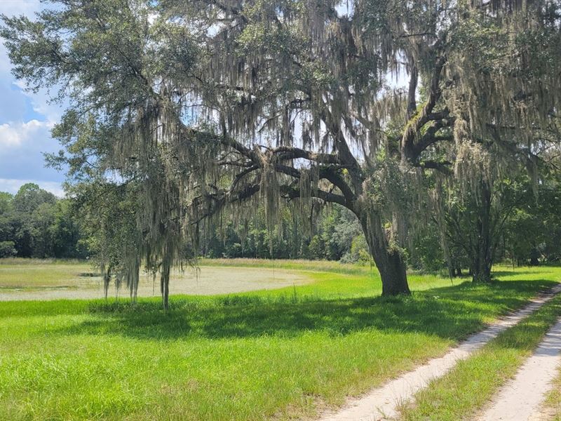 Greenway Farms, Lot 1a, Farm for Sale in Florida, #331677 : FARMFLIP