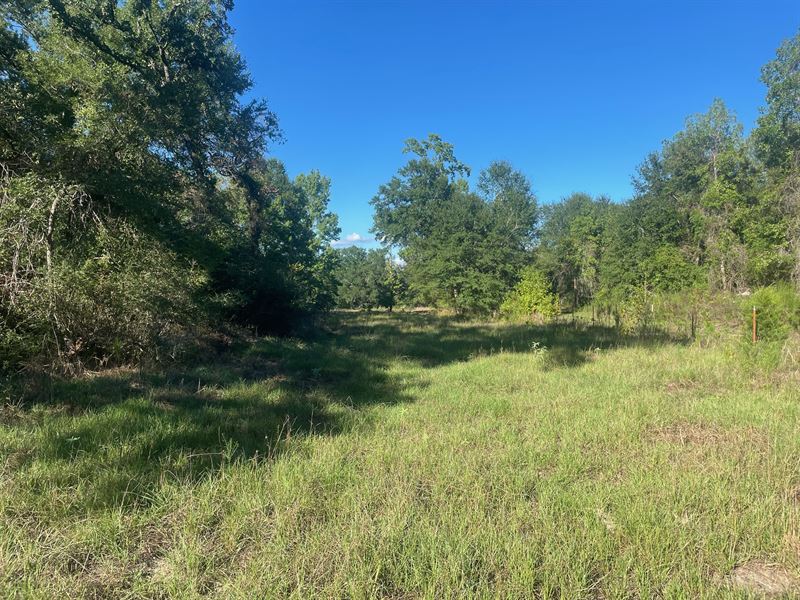 Amazing 148 AC in Madison County : Midway : Madison County : Texas