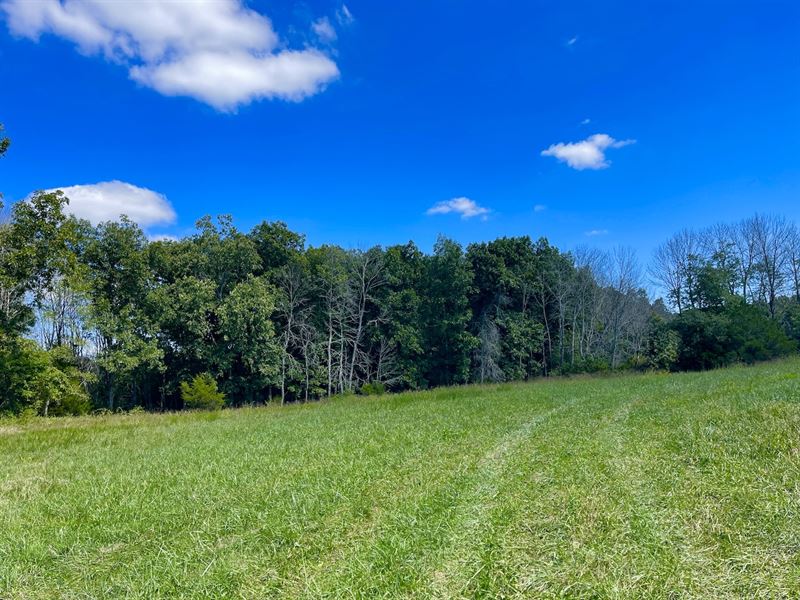 Wright County Land for Sale, Farm for Sale in Missouri, 332121 FARMFLIP