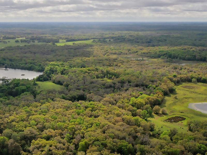 Browning Ranch North : Webster : Sumter County : Florida