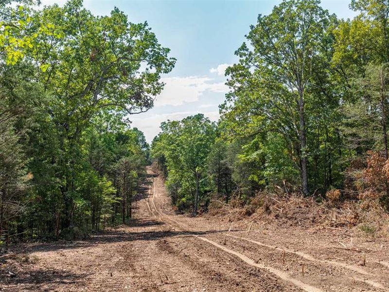 10.60 Acre in Taney County. MO : Protem : Taney County : Missouri