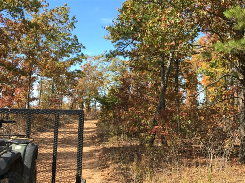 Owner Financed Rec Land, Farm for Sale by Owner in Missouri, 332535