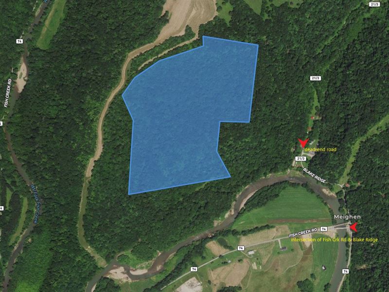 Beautiful Wooded Hilly Farm Land : Glen Easton : Marshall County : West Virginia