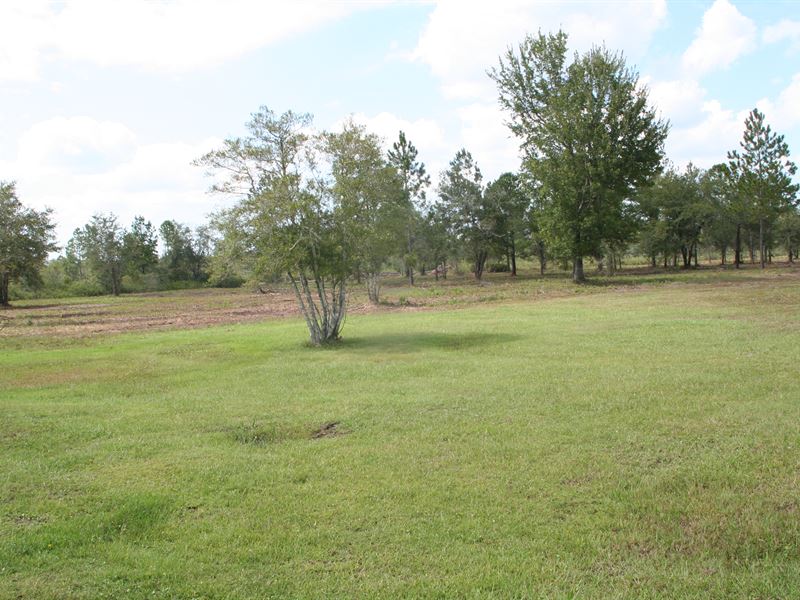 10 Acres, Folsom Rd : Sanderson : Baker County : Florida