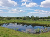 Frio South Ranch : Frio Town : Frio County : Texas