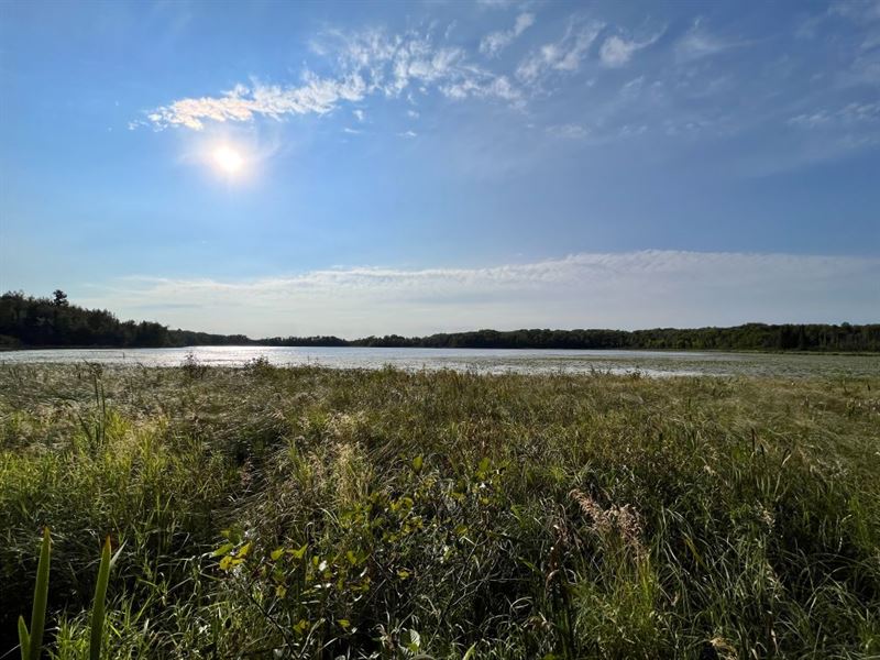 Lakefront 33 Acres in Reed Lake, MN : Swan River : Itasca County : Minnesota