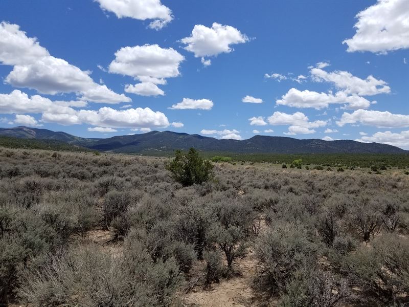 Off Grid Land From $500 Down, Farm for Sale by Owner in Colorado ...