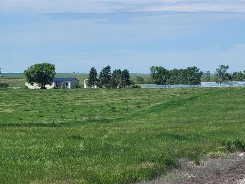 Steele ND Hobby Farm : Farm for Sale in Steele, Kidder County, North ...