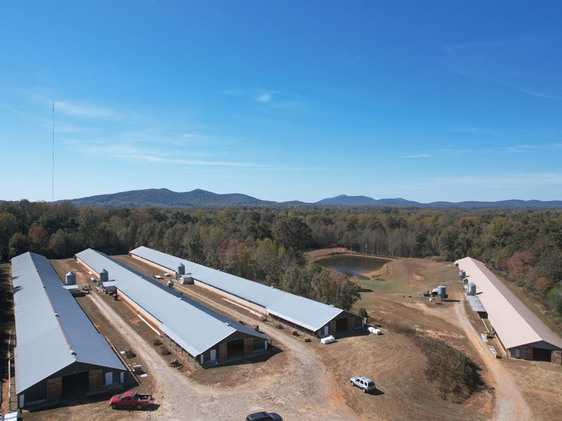 4 House Poultry Pullet Farm : Cleveland : White County : Georgia