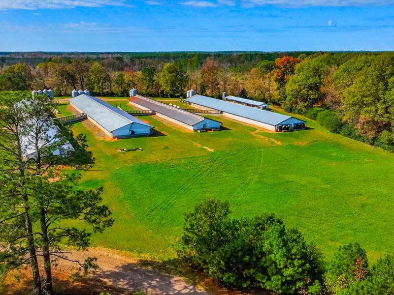 Active Hog Farm : Enfield : Halifax County : North Carolina