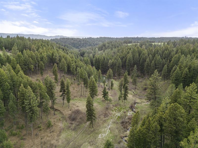 Hatke Place Land and Timber : Keuterville : Idaho County : Idaho