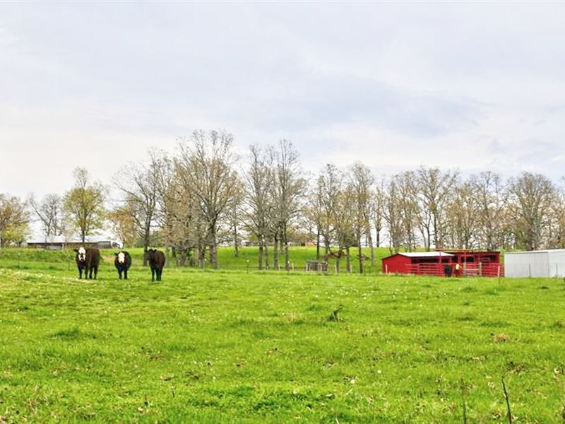 Beautiful Farm with Lush Pasture : West Plains : Howell County : Missouri