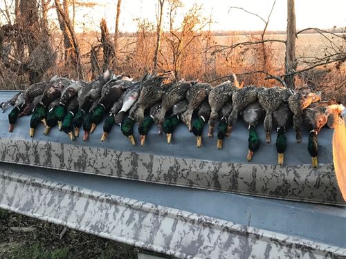 Float Your Way to More Ducks - Delta Waterfowl