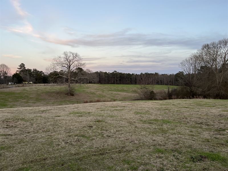 48.6 AC Pasture Land : Harrisville : Simpson County : Mississippi