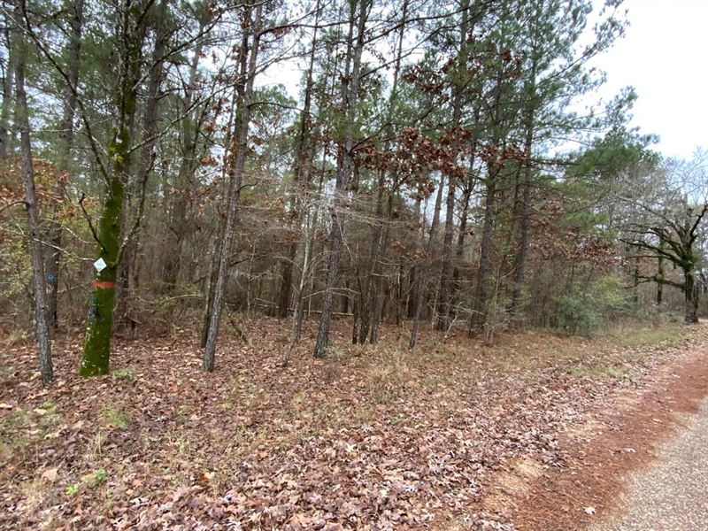 Posey Webb Camp Road, Tract B, Cat : Harrisonburg : Catahoula Parish : Louisiana