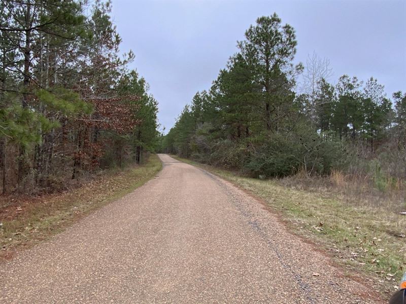 Posey Webb Camp Road Tracts, LA Sal : Jena : Lasalle Parish : Louisiana