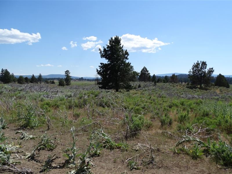 Blue Skies and Mountain Views : Chiloquin : Klamath County : Oregon