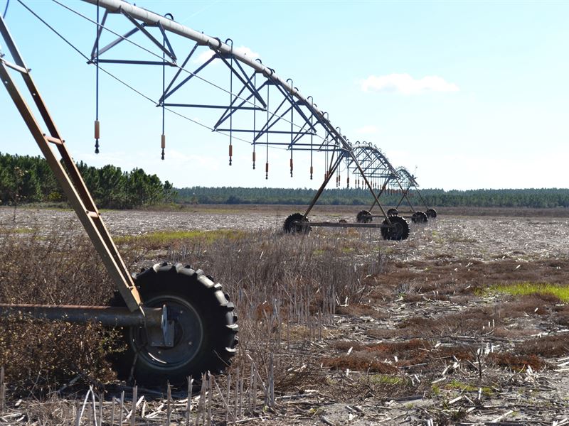 Dixie County Farmland, Farm for Sale in Florida, 341064 FARMFLIP